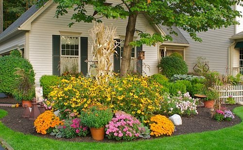 Fall Gardening Exterior