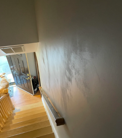 Luxury wall and ceiling restoration evaluation of uneven wall before restoration