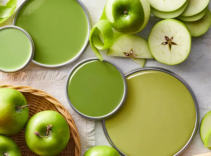 Best exterior and interior paint colors in Michigan – color inspiration and Michigan lighting tips