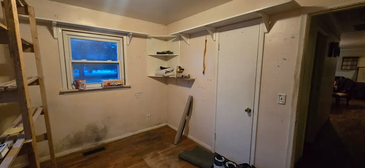 Bedroom staining and mold issues before painting in Gibraltar MI