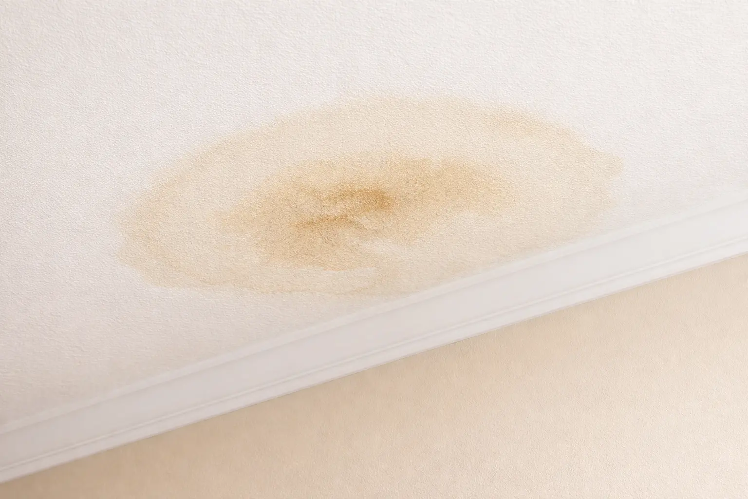 Ceiling water stain before repair and repainting in Brownstown Township MI