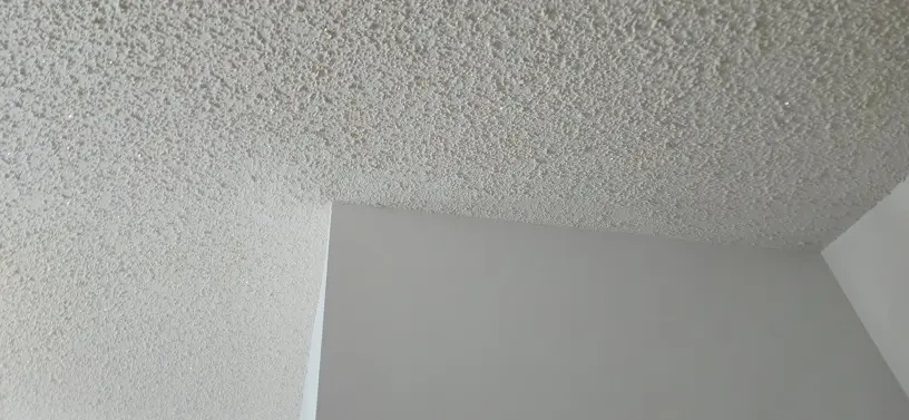Freshly painted ceiling in Grosse Ile, MI with smooth texture and uniform finish